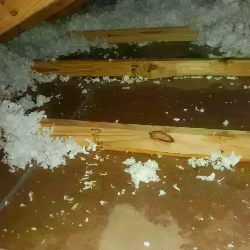 Attic Water Damage in Warm Mineral Springs, FL