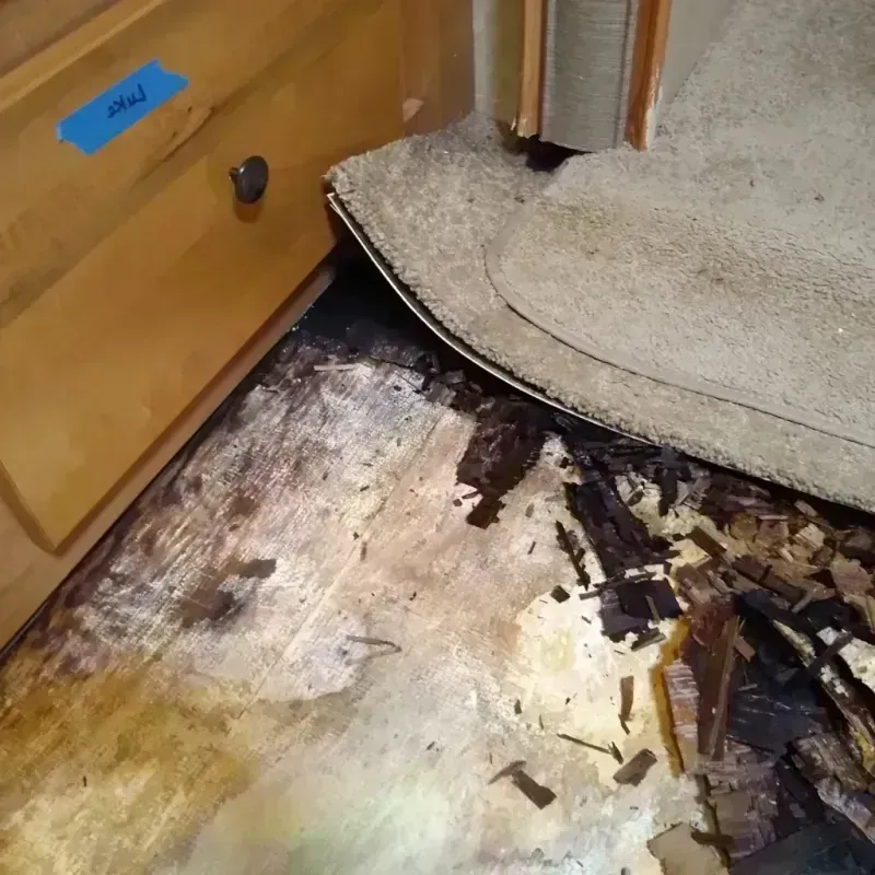 Best Wood Floor Water Damage Service in Warm Mineral Springs, FL